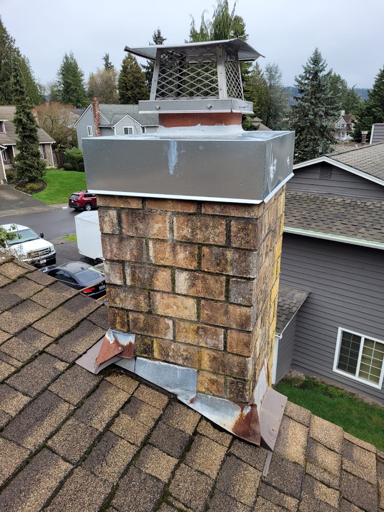 Ace Chimney Services Bellevue offering chimney services in Bellevue