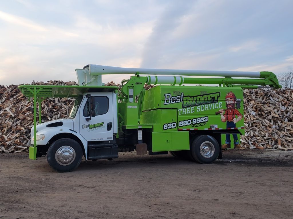 Best Budget Tree Service Firewood & Mulch offering chimney services in Minooka