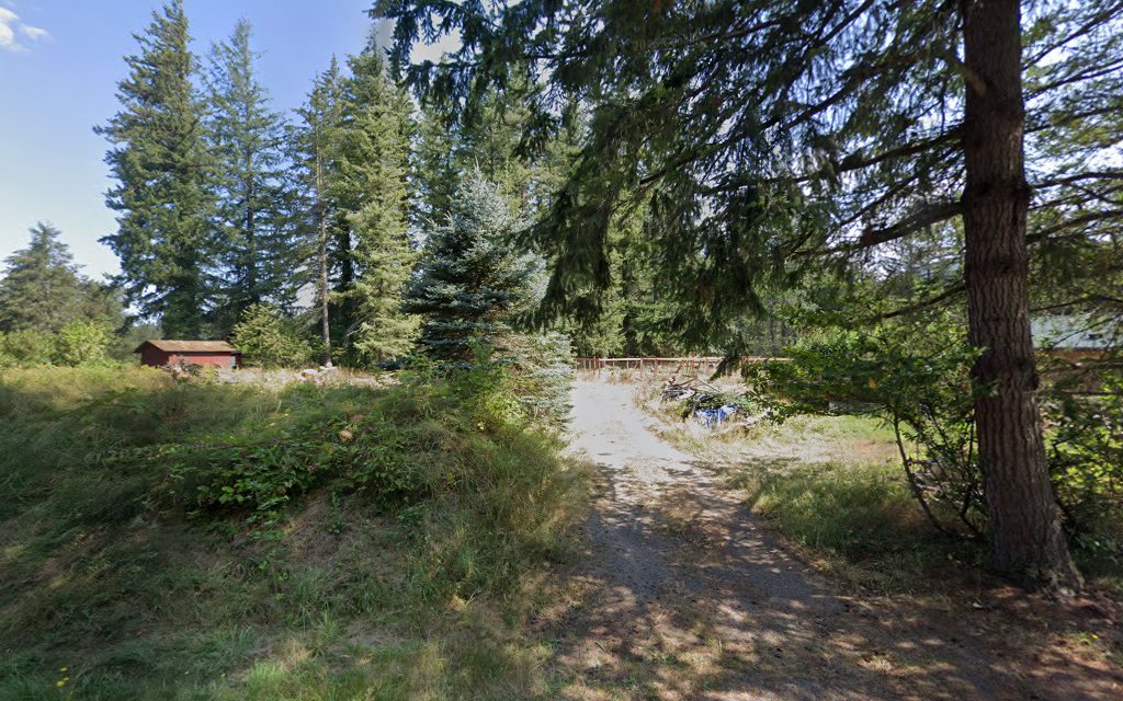 Better Finish Chimney Cleaners Ravensdale offering chimney services in Ravensdale