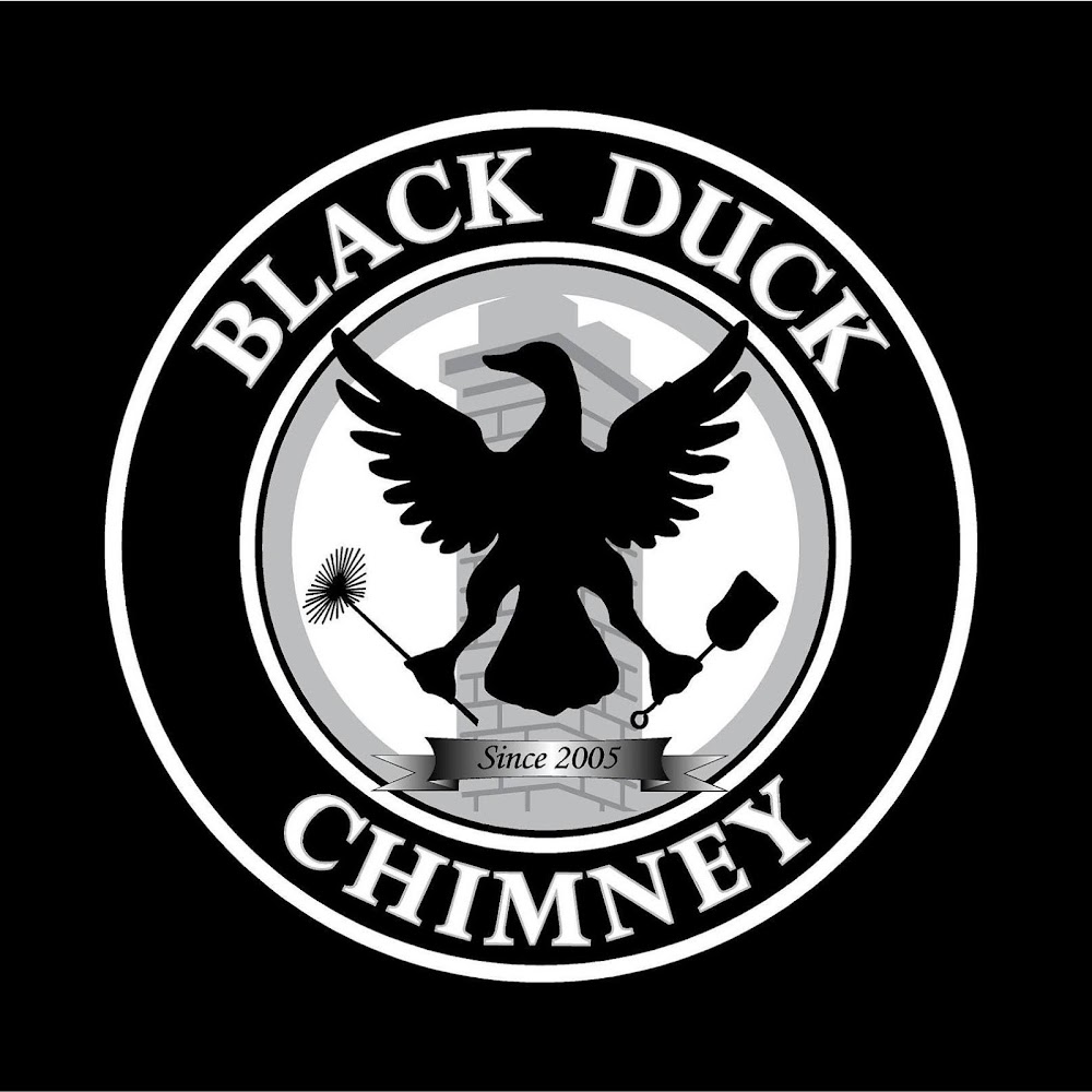 Black Duck Chimney offering chimney services in Hamilton