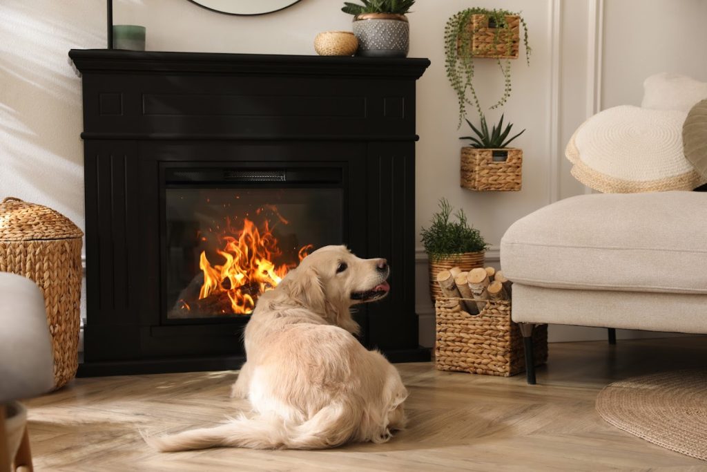 Chimneys Plus Raleigh offering chimney services in Raleigh