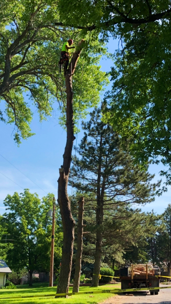 McNeel Tree Service & Jeepers Sweepers Chimney Care offering chimney services in North Platte