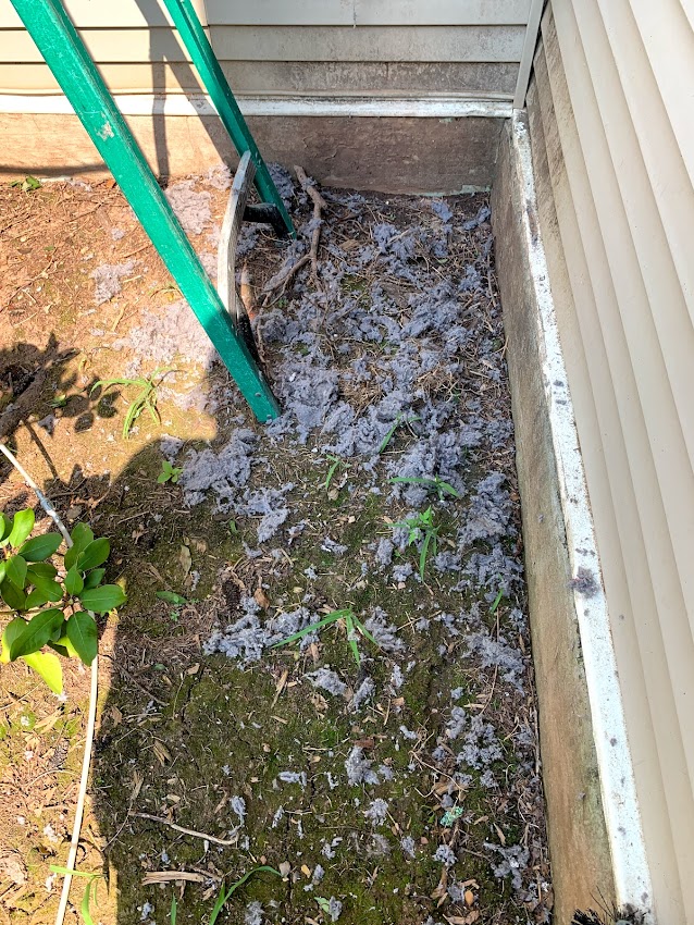 Mcpuff Chimney II offering chimney services in Bloomfield