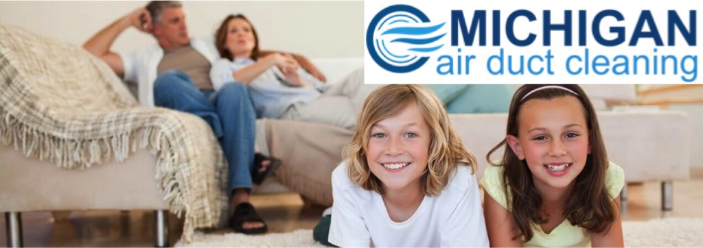 Michigan Air Duct Cleaning offering chimney services in Clinton Township