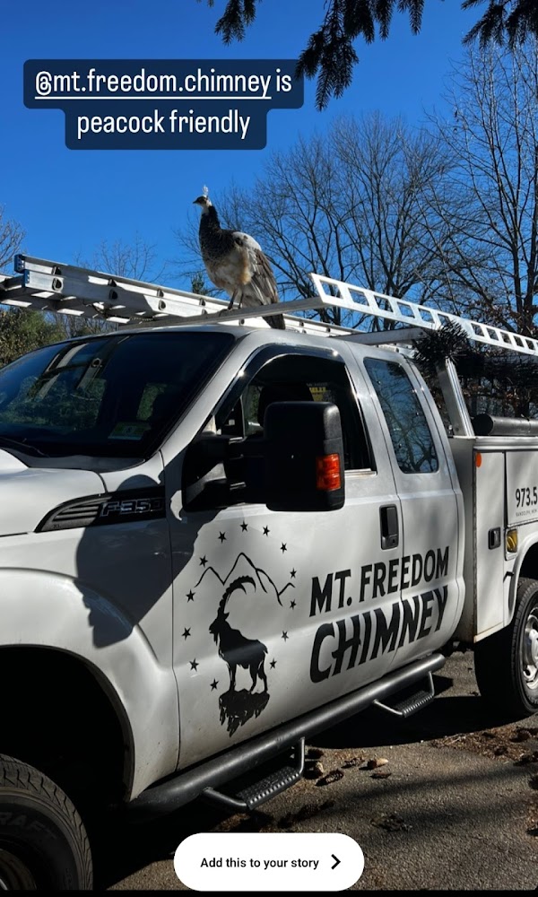 Mt Freedom Chimney offering chimney services in Randolph