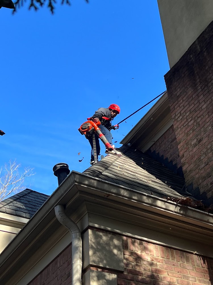 Shelter Guard Roofing And Gutters offering chimney services in Marietta