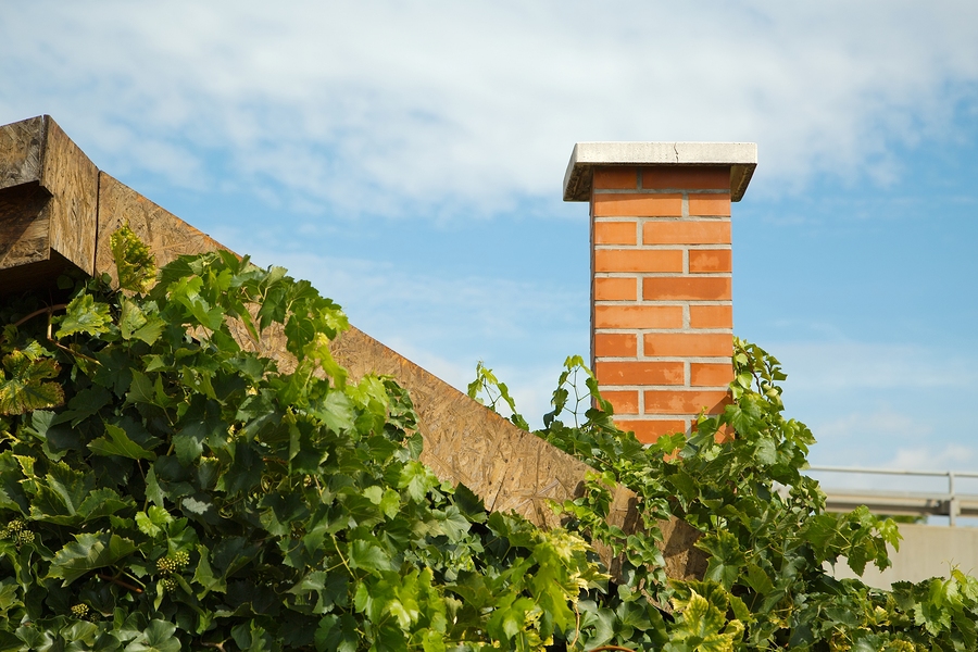 Soot Master Chimney Sweeps And Masonry offering chimney services in Gulfport