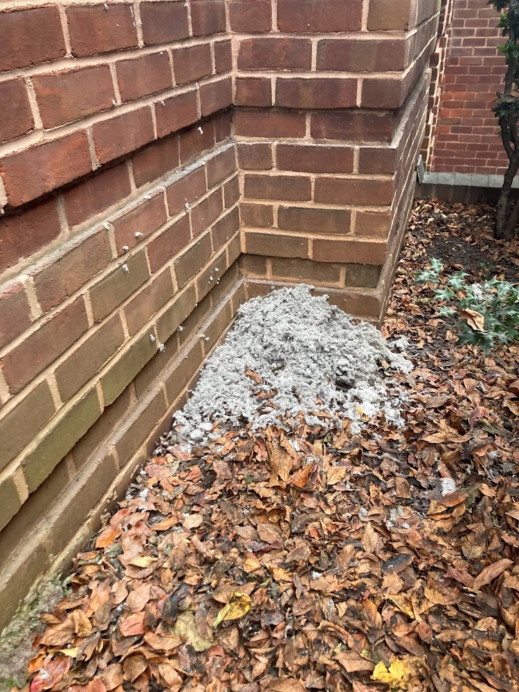 Star Quality Air Duct Cleaning Services offering chimney services in Silver Spring