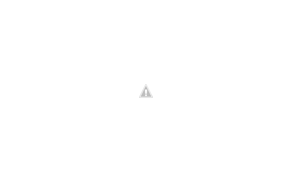 Sweepnman Fireplace Center offering chimney services in Westford