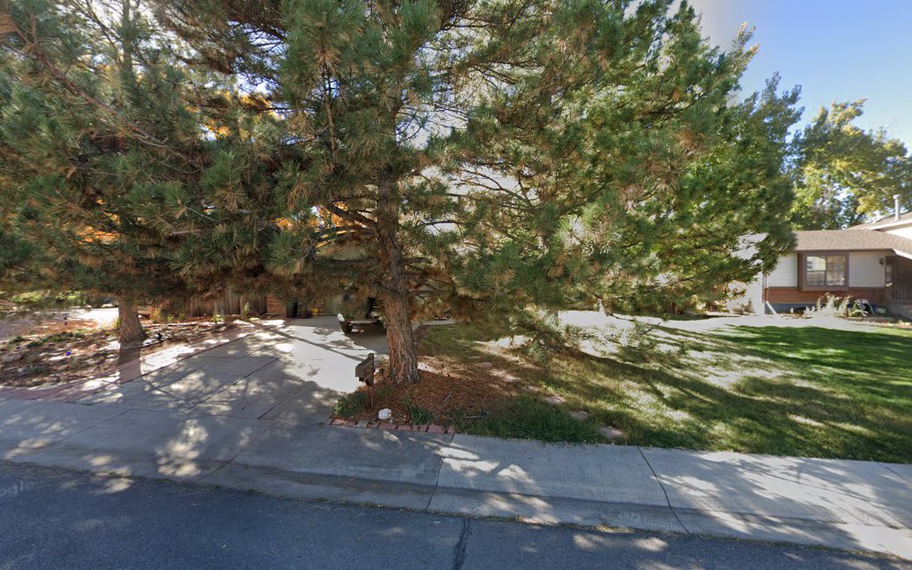 Terry's Chimney Cleaning LLC offering chimney services in Littleton