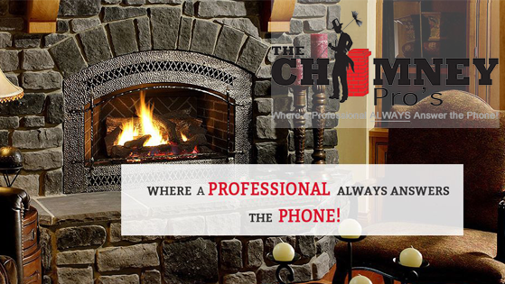 The Chimney Pro's offering chimney services in Hudson