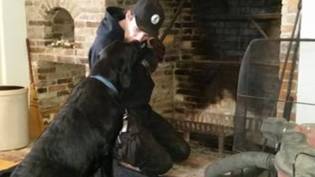 Up Yer Flue Chimney Sweeps offering chimney services in Danvers